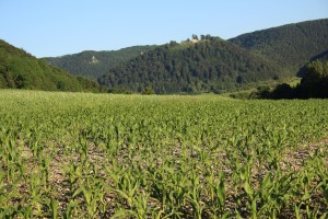 Abwechslungsreiche Alblandschaft