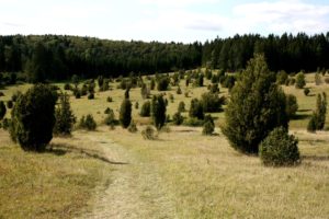 Hayingen_Naturschutzgebiet_Digelfeld