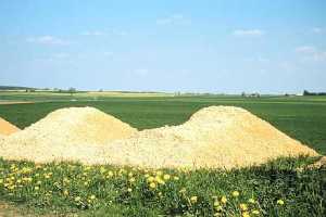 Grundbodenuntersuchung Landwirtschaftliches Bodenlabor Lehle