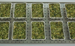 Bestimmung der Trockenmasse von Biogas-Substrat